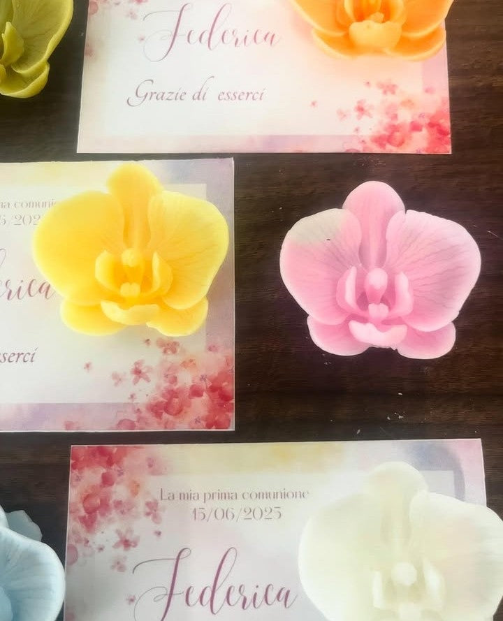 ORCHIDEE