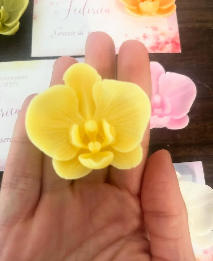 ORCHIDEE