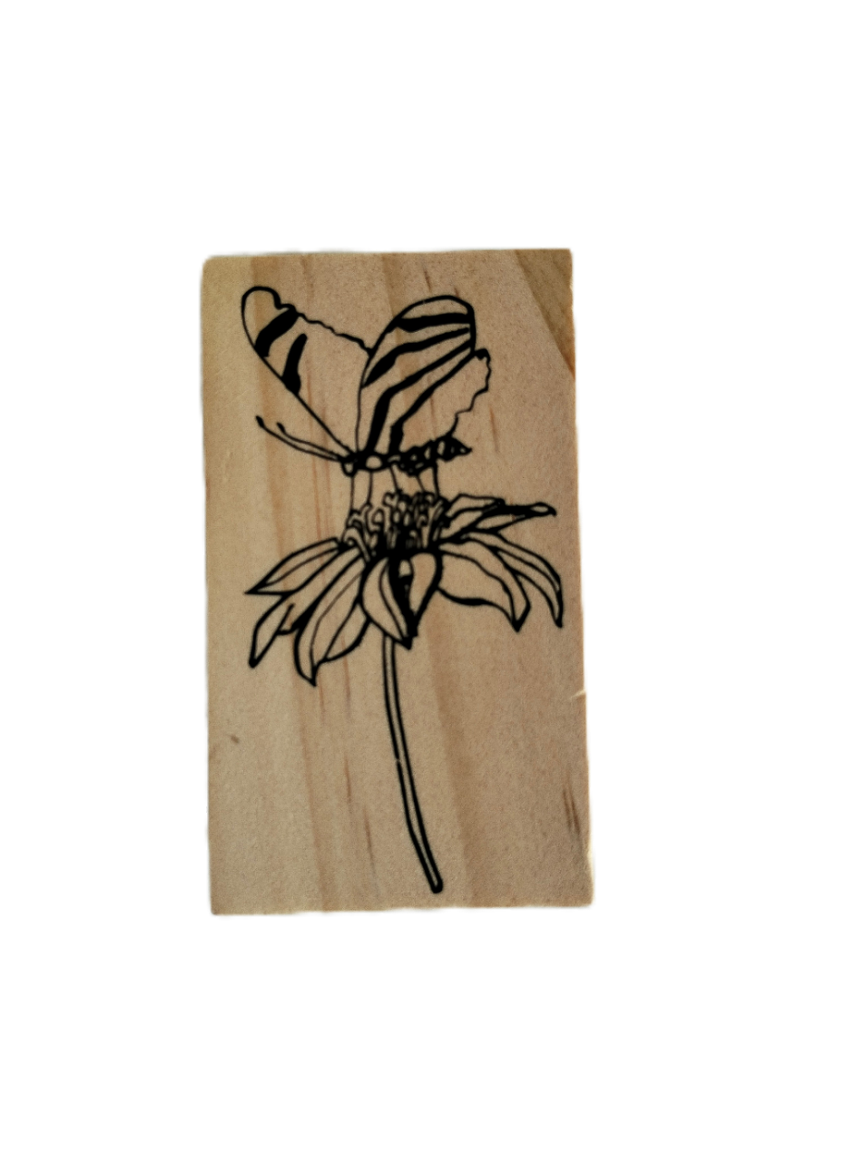 TIMBRI DI LEGNO