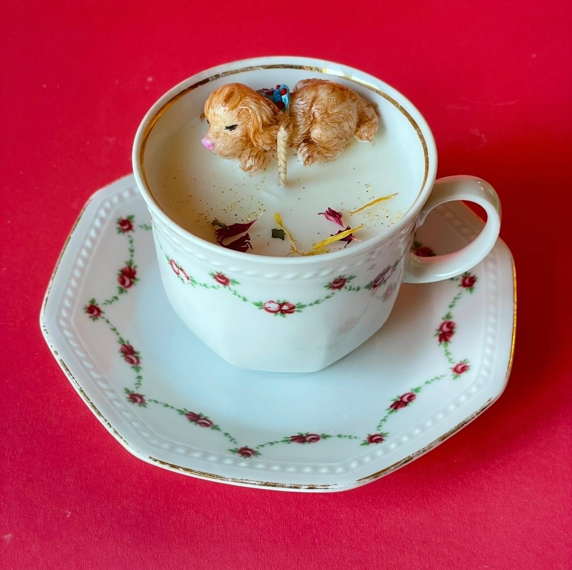 CANDELA TAZZA CAGNOLINO